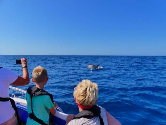 family watching dolphin in faro at a dolphin tour by ocean vibes algarve